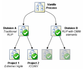 Software Process Customization and the Development Case