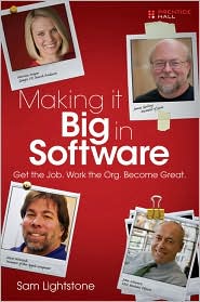 Making It Big In Software Cover